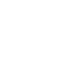 Cognitive & Functional Skills Assessments