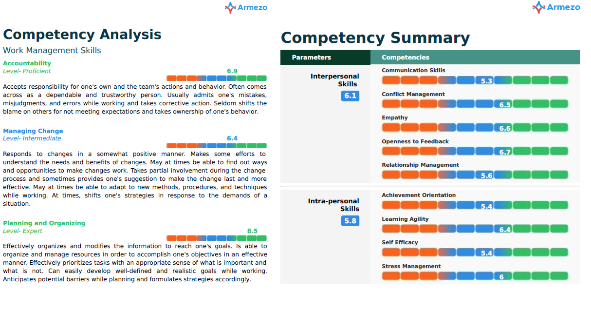 3. Competency Analysis