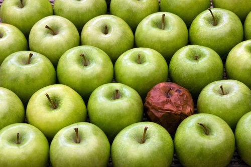 Ultimate Guide to Assessments Blog 2 the-talent-cycle